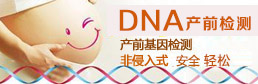 无创DNA